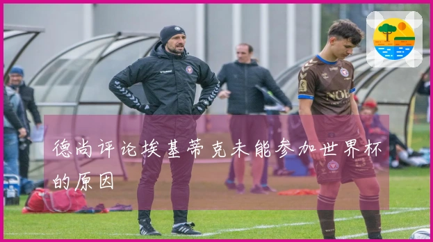 德尚评论埃基蒂克未能参加世界杯的原因